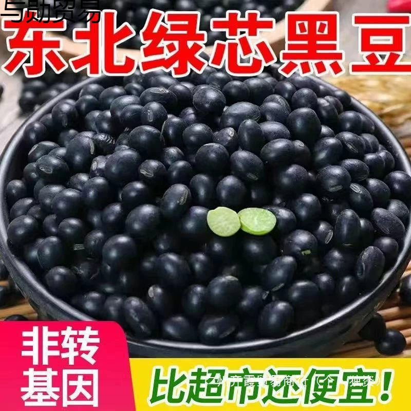 Северо-восточная новая черная фасоль, нечерная фасоль, произведенная на ферме «Зеленое сердце», зеленые съедобные крупные зерна, цельные зерна и бобы.