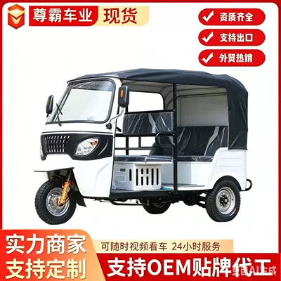 Africa's Best-Selling Three-Wheeled Fuel-Powered Motorcycle, Household Cargo Farm Vehicle, Zongshen Power Gasoline Dump Truck