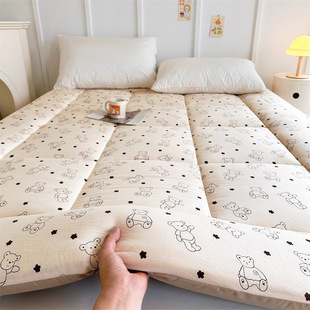 Manufacturer Wholesale Customized Class a Cotton Mattress Tatami Mattress Mat for College Dormitory Single and Double Beds