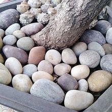 鹅卵石5-8公分滤池过滤鹅卵石 造景铺面大卵石景观砾石石子