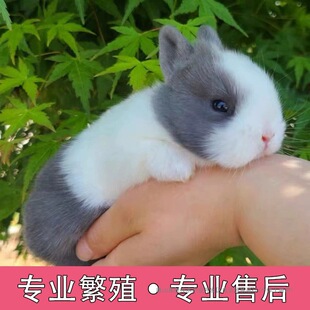 �����û���豭�L����ҧ������٪�僺ͯ�B؈؈�ú��m�����û��w