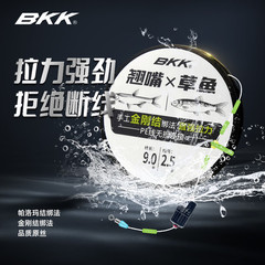 BKK ウチワコイ メインライン完成品 結びセット 大物PEロッド 少し結び目強化 強力引っ張りウチワコイラインセット