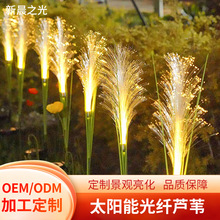 �S��̫��ܹ��w�JȔ���̈��V���W�t�򿨟����b�ƺ�����⾰�^��