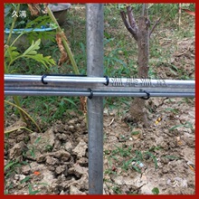 ���]�r�I��������Ӵ���\����ɿ��۹̶�����ɫ����Ĥ�ۿ�䓽z�A