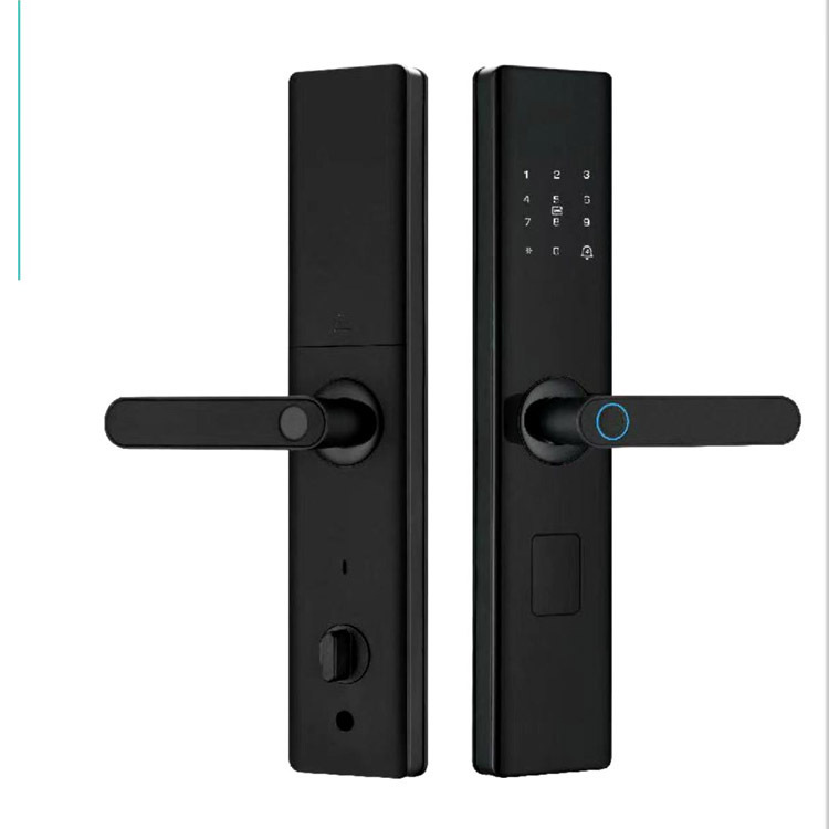 Cerradura automática de huellas dactilares puerta antirrobo doméstica cerradura inteligente de identificación facial cerradura de puerta graffiti cerradura electrónica visual ojo de gato