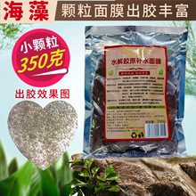 ˮ���zԭ�aˮ��ĤС�w��������ֲ�ﺣ����Ĥ��������Ժɢ�b���bŮ