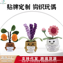 亚马逊跨境玩偶雏菊盆栽毛线手工钩织成品积极正能量钩织盆栽玩偶
