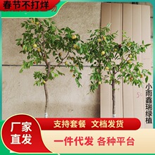 һ�����l�������޽�մ�����������ش�����ϱ��������ͥԺ�Nֲ