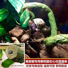 �ľ�з�����ٗl�֘��ٗl�쾰�����������������⏝���b���