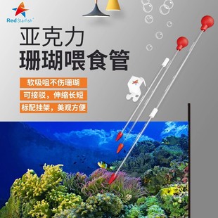 �t���Ǽӏ���ɺ��ιʳ�� ������ɺ��ιʳ�� ��ˮ�~��ιʳ����