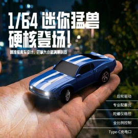 遥控飞机;遥控船;遥控车