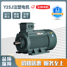 东莞环球Y2SJ注塑电机压铸注塑橡胶鞋机高转速1001三相同步电动机