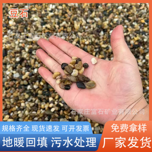 Bean stone large number of in stock floor heating backfill fish tank landscaping filter material cushion rice stone gravel transformer pebble bean stone