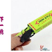 蟑螂口香糖吓一跳创意恶搞整人搞怪整人玩具学校周边吊板小玩具