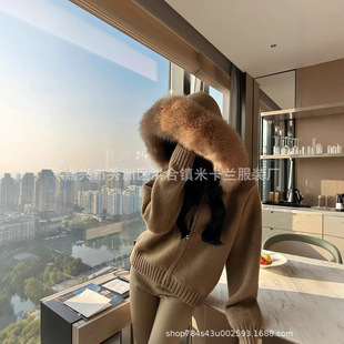 �Ӻ�ë���׶����¿�h��ë�q���I�������Ƥ�����¶�ᘿ�������Ů