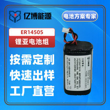 ER14505锂亚复合电池组3.6V10800mAH定制电池物联网智能设备