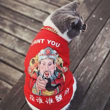 宠物猫咪狗狗衣服加绒加厚卫衣中小大型犬可爱蓝猫布偶衣服防掉毛