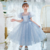 Spring summer dress for princess, “Frozen”