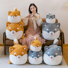 ���Ƽӹ�ë�q��߱�������OӋ��D���С���N��ˮϴ�ˆΰ��b��ż