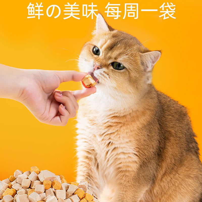 Pet snack granos de pollo congelados, gato snack, pecho de pollo seco, gato, perro, gato, bolsa de dientes de molienda, 100g de alimentos.