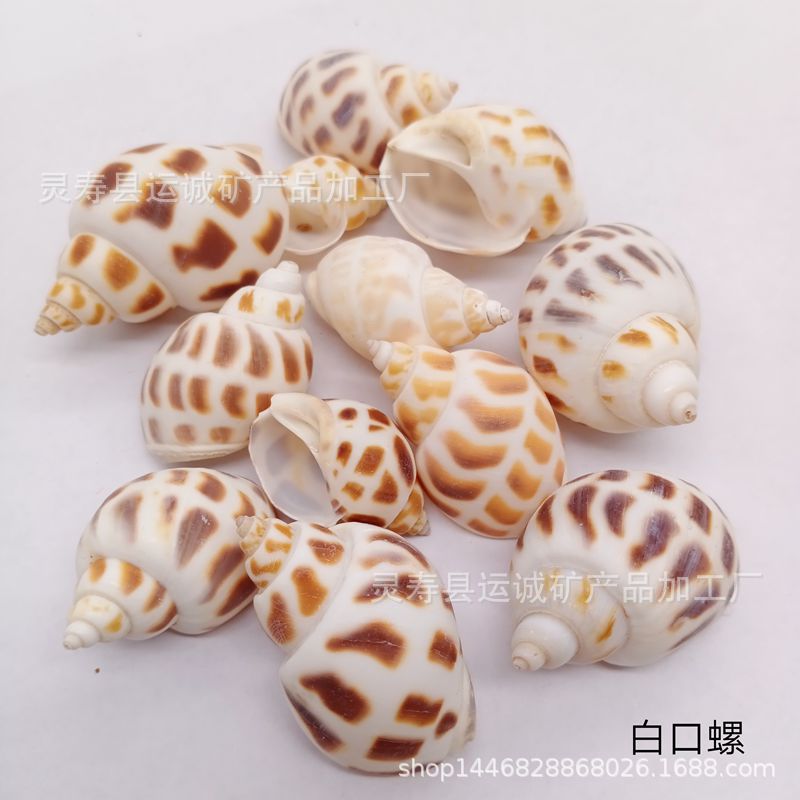 IMG_20210903_142828_副本