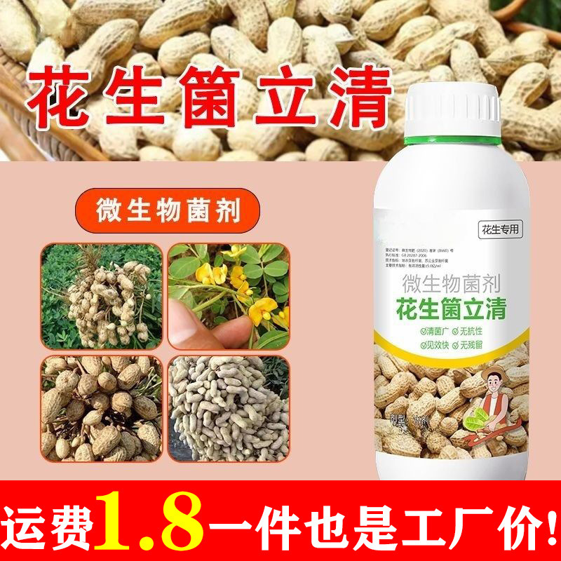 Peanut Microorganism-Based Microbial Agent for Preventing Root Rot, Leaf Spot, and Leaf Burn in Peanuts Peanut Microorganism-Based Microbial Agent for Preventing Root Rot, Leaf Spot, and Leaf Burn in Peanuts