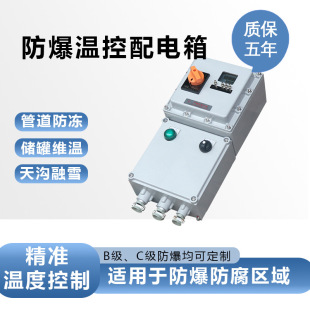 Distribution Box Explosion-Proof, Anti-Corrosion, Precise Temperature Control, Single Loop, Explosion-Proof Temperature Control Distribution Box, Durable and Sealed