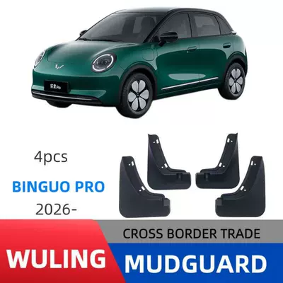 Suitable for Wuling Bingo Pro Mudguard
