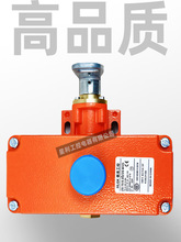 施迈赛款拉绳开关ZS7310/1SVD/ZS7520/2SSVD/WVD紧急停止拉线开关