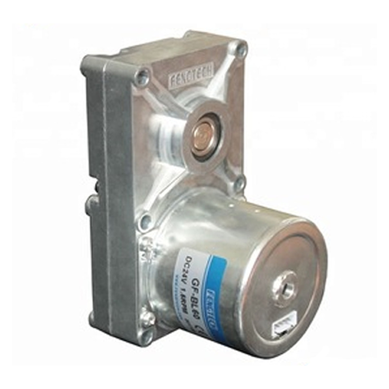 FengTech/丰泰克生物质颗粒炉送料直流无刷减速电机GF-BL60