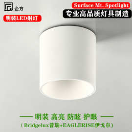 明装射灯LED  防眩免开孔全光谱家用COB高亮商用高显吸顶筒灯跨境