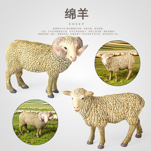 �����r������ă�ͯ����d��W�ޱP���������J֪ģ�͔[���YƷ