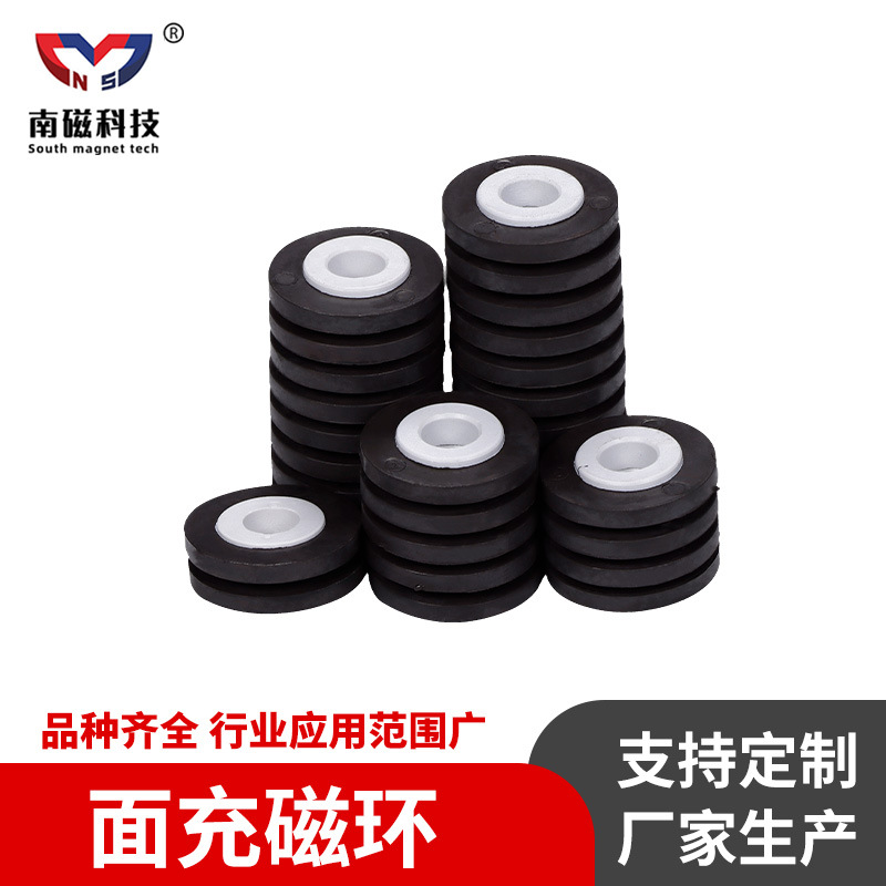 厂家直供电机配件面充磁环PA6塑磁PA66塑料跨境面充6P注塑充磁