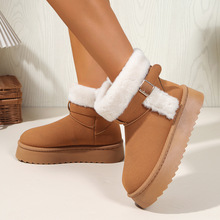 Ͳѥ2025¿Ͳë|ЬëѩѥӺůѥ