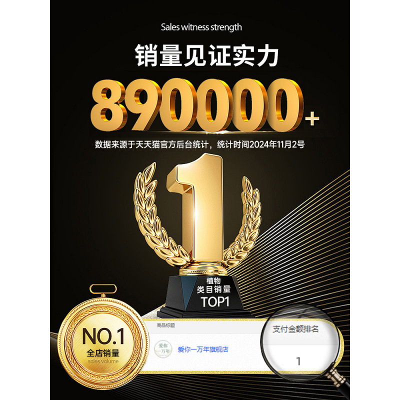 녹색 식물 카테고리의 상위 10개를 구매하는 것은 결코 잘못된 것이 아닙니다.