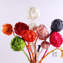 ���E��������ѩɏ���ﻨС�t��ͬ��ܛ�b�廨���޼Ҿ��bɻ�����