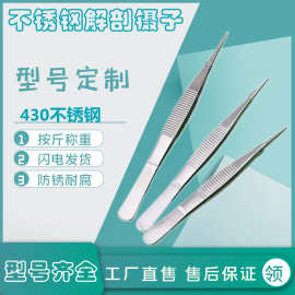 解剖镊子不锈钢细带齿直尖嘴12.5cm-20cm夹棉花钳子尖头实验室