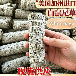 ���ݰ���β�������ײ� WhiteSage��޹��ѩ��������޹�²�