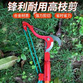 单论伸缩高枝剪摘果器高空剪刀树枝剪刀高空修枝剪刀加长修剪树枝
