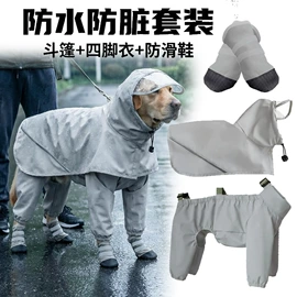 狗狗服装;猫猫牵引;狗狗牵引