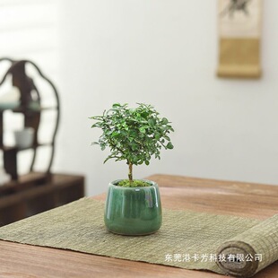 �_Ħ����������������ĴָȤζ���������Gֲ�����ļ�����