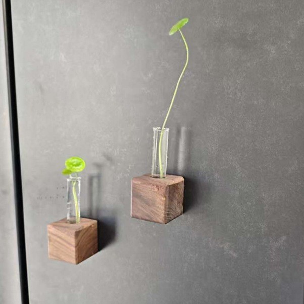 Refrigerador de nuez transfronterizo pegado hidropónico marco de madera fresco sala de estar decoración simple mesa flor de rosa verde