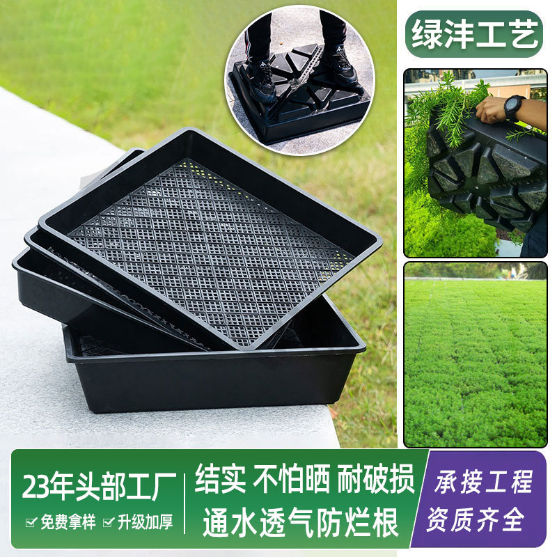 Roof greening planting pot container plate Buddha grass planting…