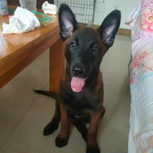 �S��ֱ�N���N�RȮ��Ȯ���w���������Rȫ�o�l��ĿȮ�����oԺ�pѪ�y