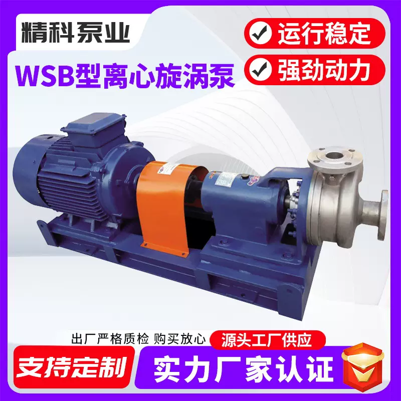 厂家直供 WSB型离心旋涡泵 卧式循环泵 规格可定制高压卧式旋涡泵