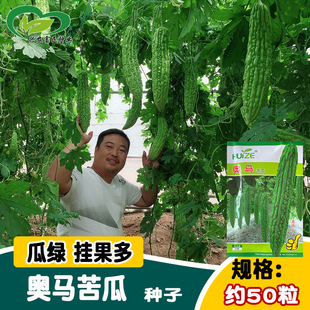 �W�R��ϷN�� �r��ˈ@����������o������Сɫ��G�����������