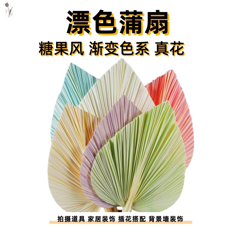 Cross-border spray paint bleached sunflower leaf Guanyin fan cattail…