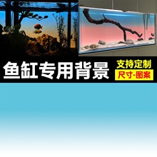 �¿��~�םu׃�������N������Dˮ�������B���쾰�b������z����