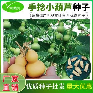 ���l���J�ѷN��ȫ�ļ����N��������С���J���������԰ˌ����J�N��