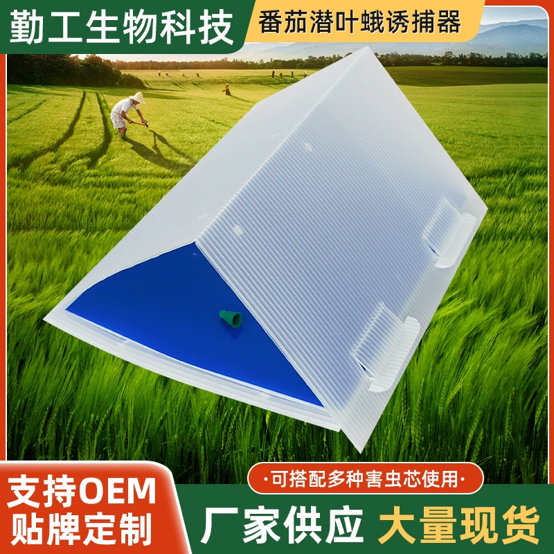 Производитель поставляет ловушку для листовок, средство для борьбы с вредителями томатов, аттрактант для листовок, полный комплект оптом